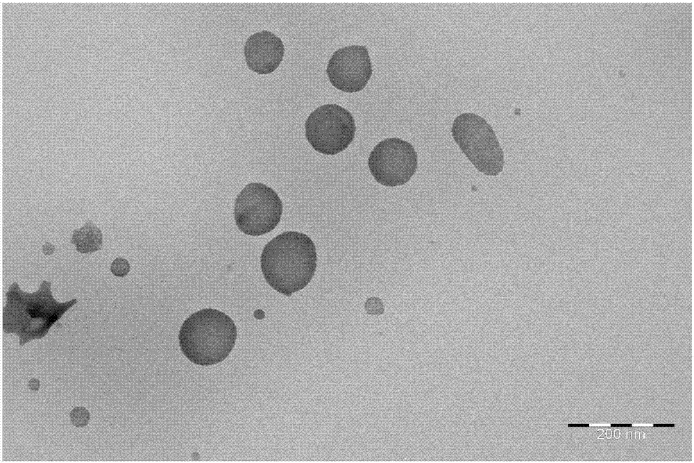 Self-assembling medicine carrying system of o-nitrophenyl propanoic acid taxol conjugates, and preparation method and application thereof