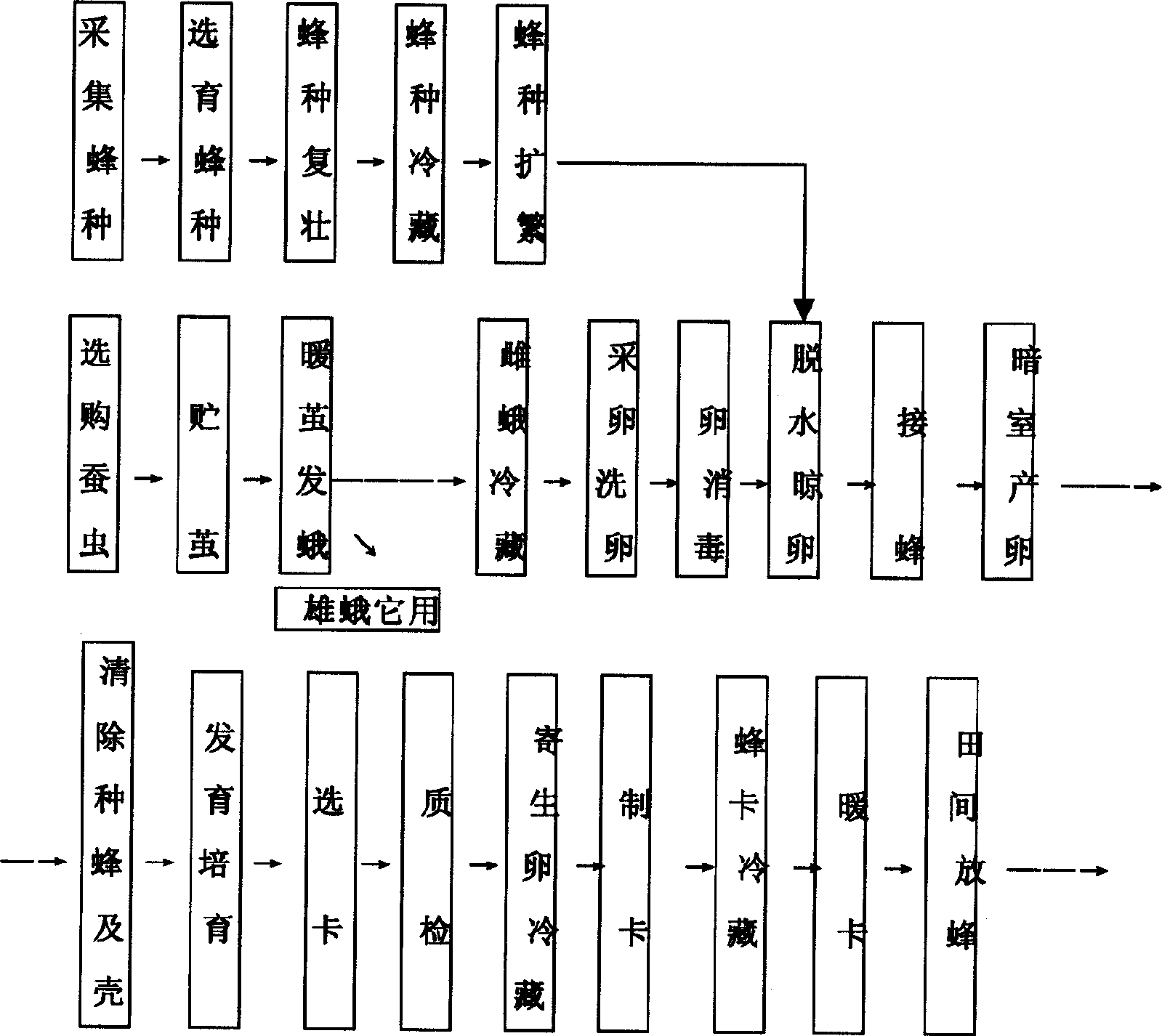 Artificial breeding and producing method for trichogramma