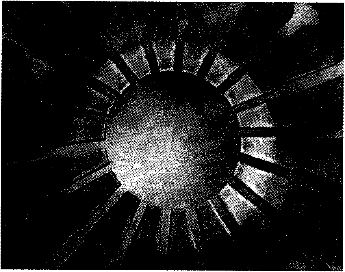 Diaphragm spring and finger tip thermal processing process thereof