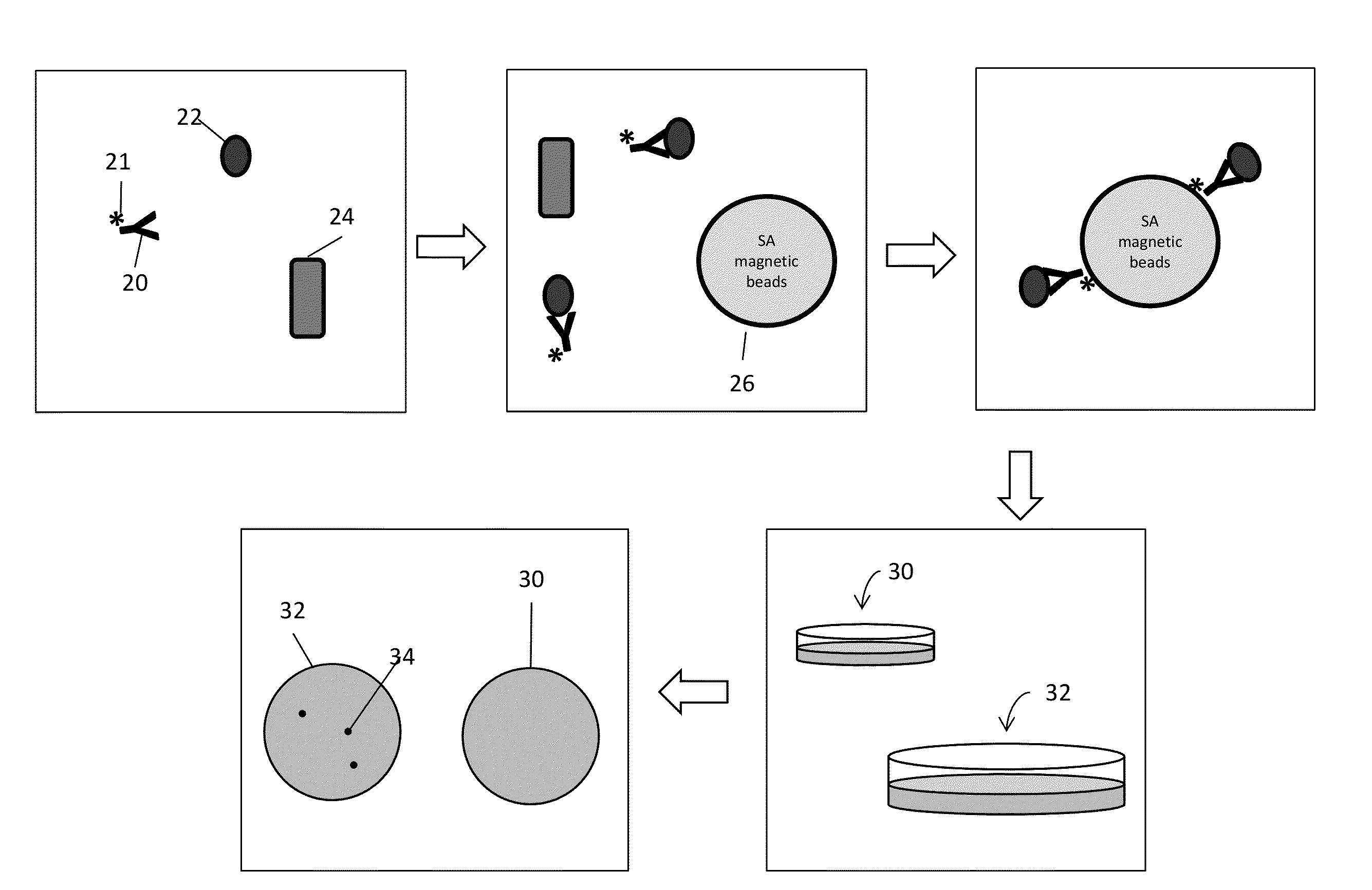 Methods and Systems for Detection of Microorganisms