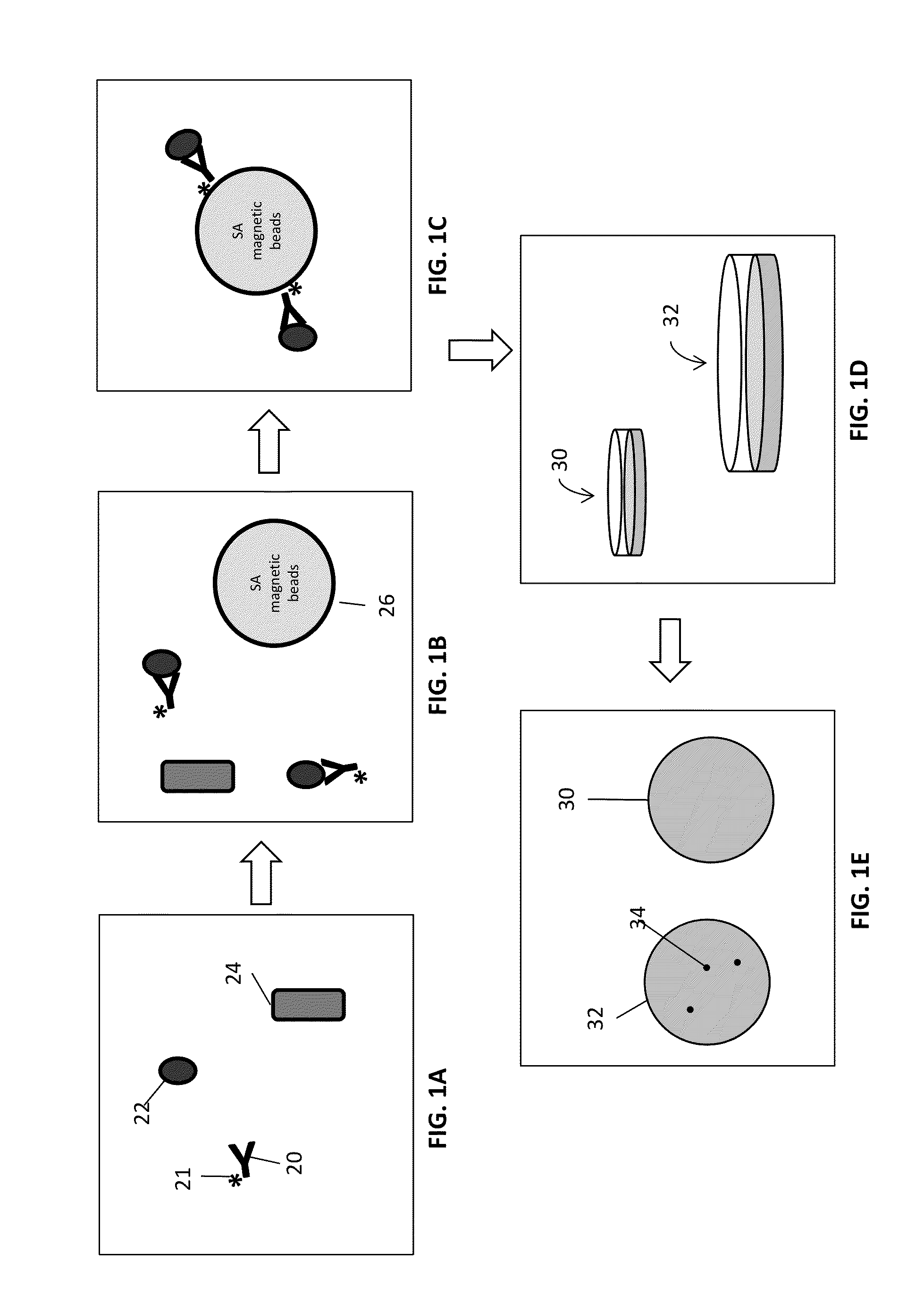 Methods and Systems for Detection of Microorganisms