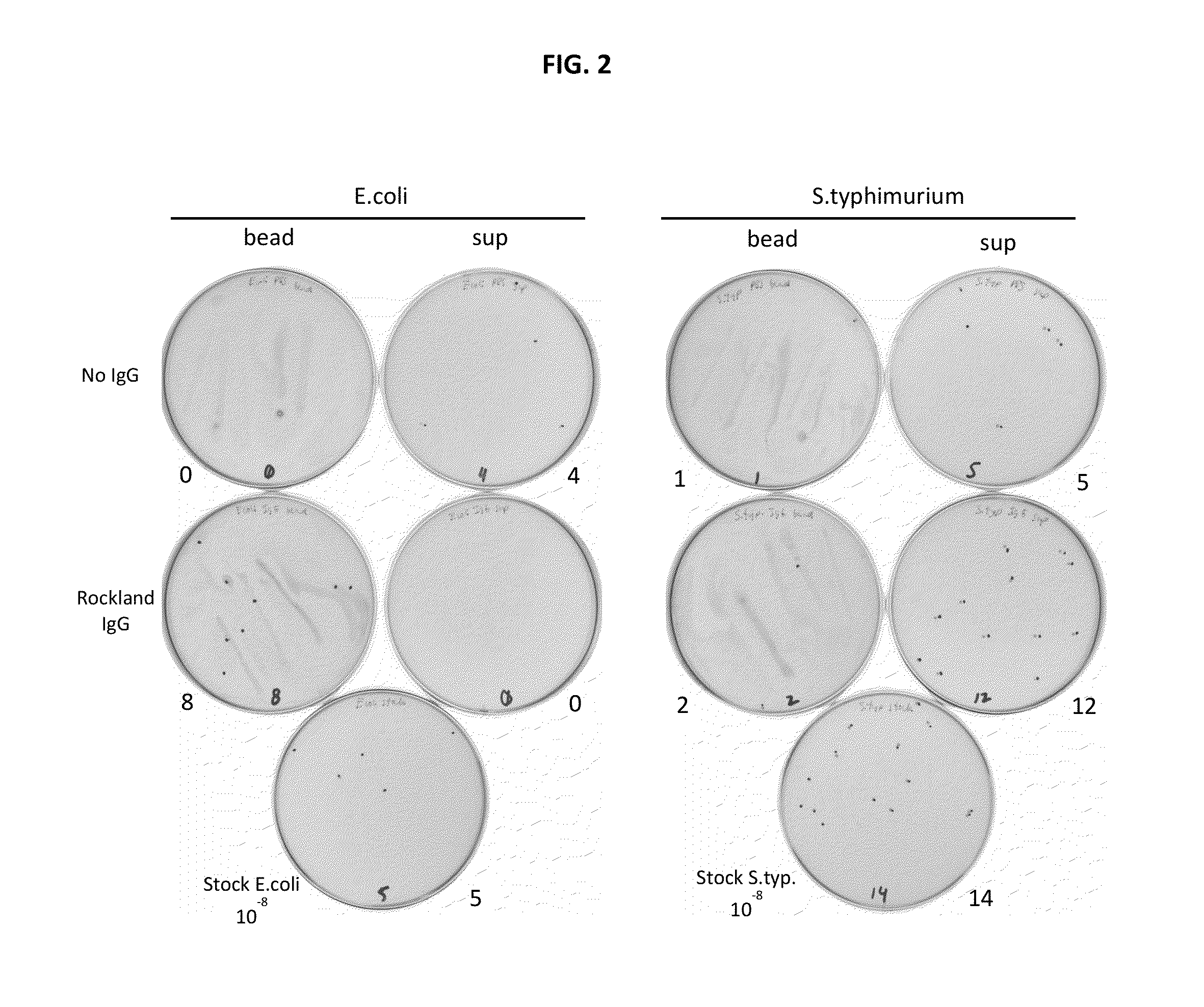 Methods and Systems for Detection of Microorganisms