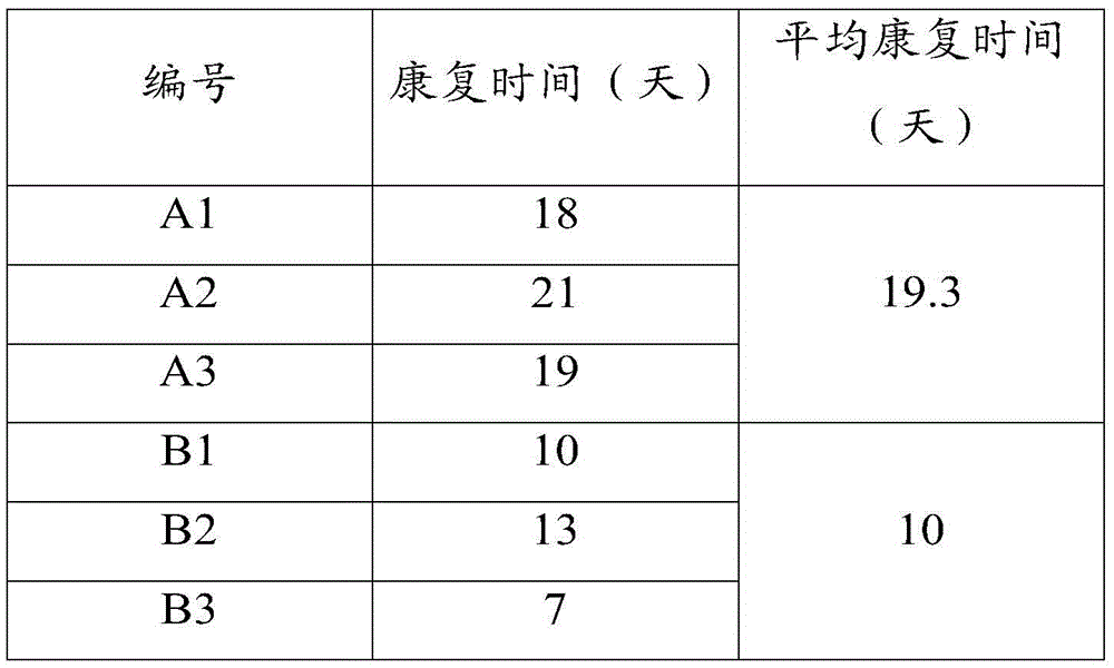 Traditional Chinese medicine burn and scald spray, traditional Chinese medicine scald ointment and preparation method of traditional Chinese medicine scale spray and traditional Chinese medicine scald ointment