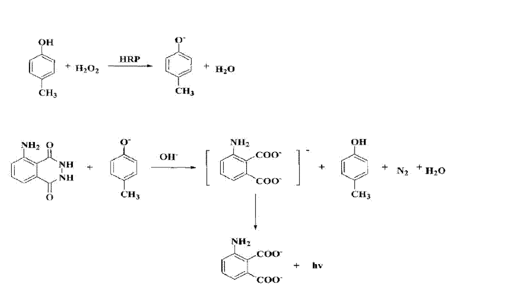 Chloramphenicol chemiluminescence enzyme-linked immunodetection kit