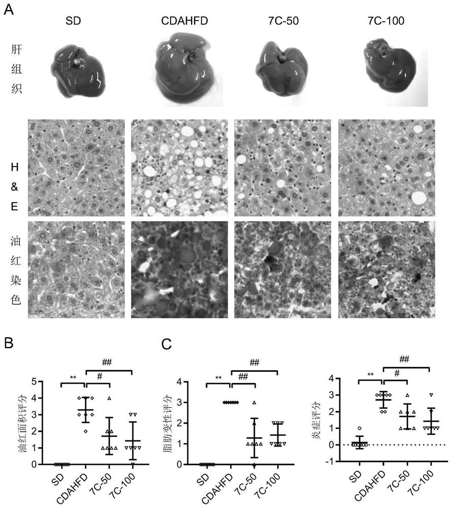 Application of 3beta,23-O-isopropylidene hydroxyl betulinic acid in preparation of medicine for treating non-alcoholic steatohepatitis