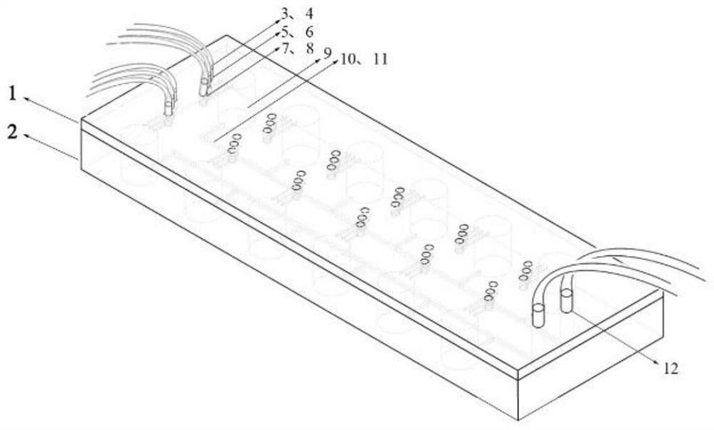 Double-layer micro-fluidic chip and kit and method for detecting novel coronavirus