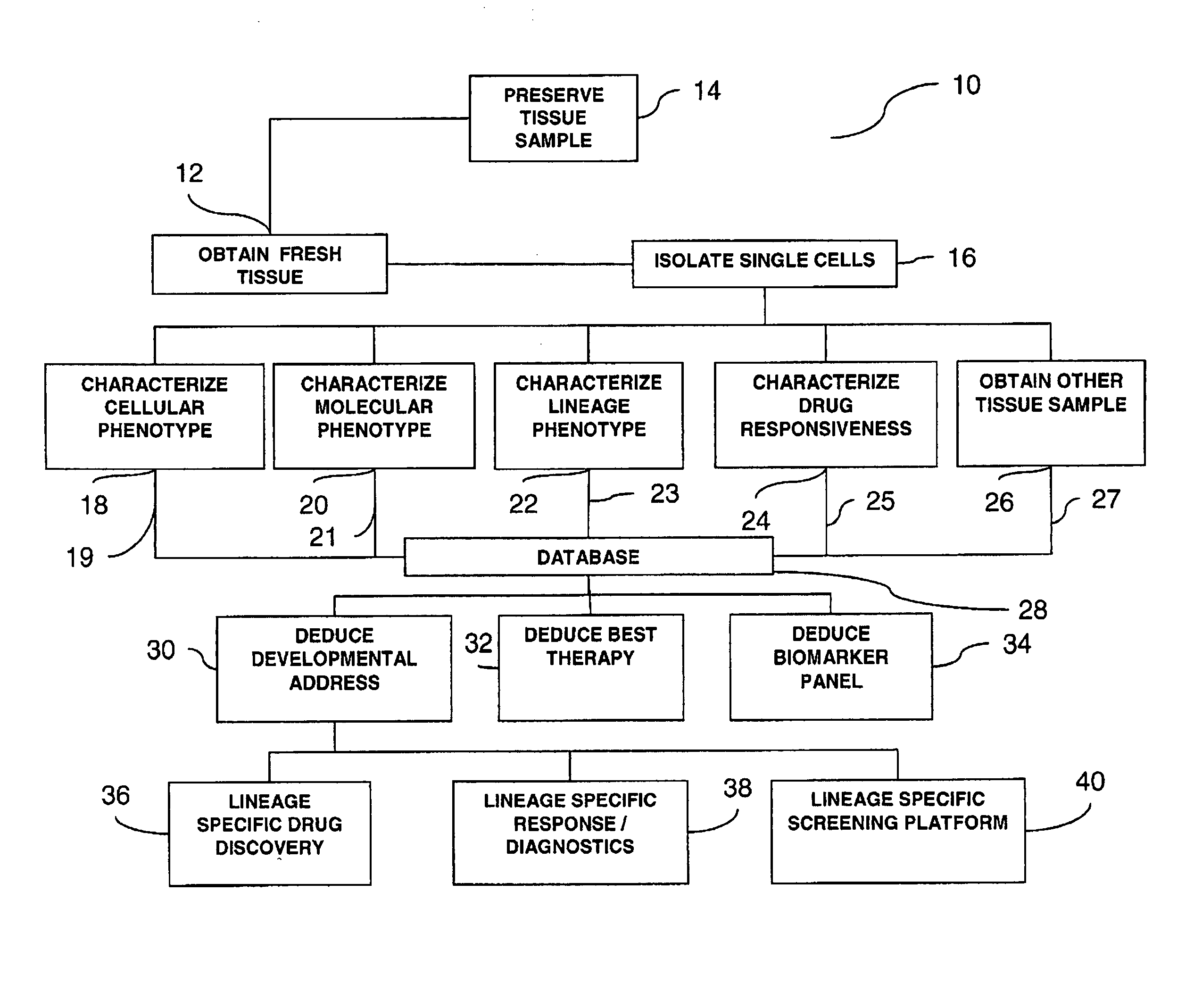 Process for detecting the existence of mesenchymal chrondrosarcoma