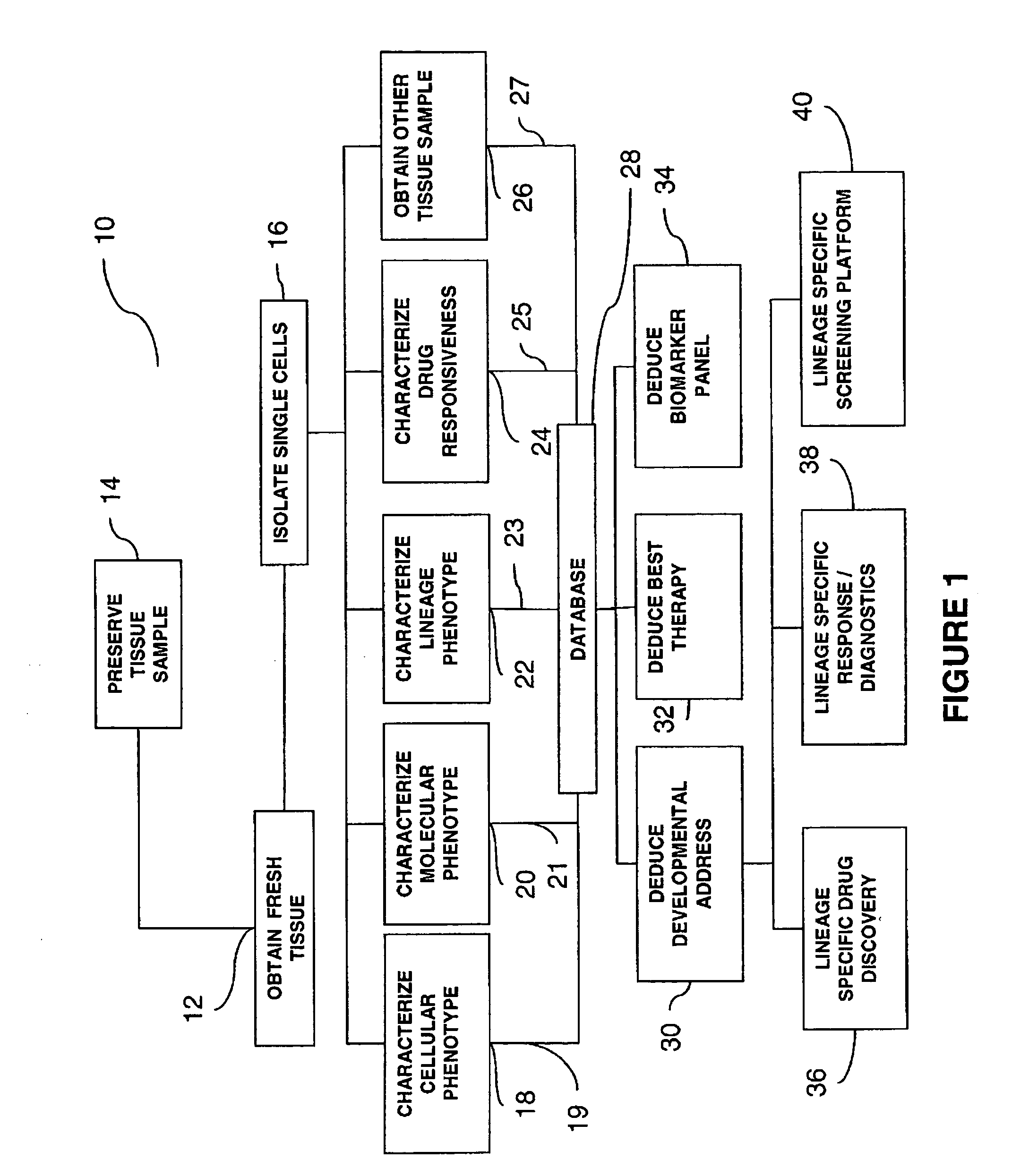 Process for detecting the existence of mesenchymal chrondrosarcoma