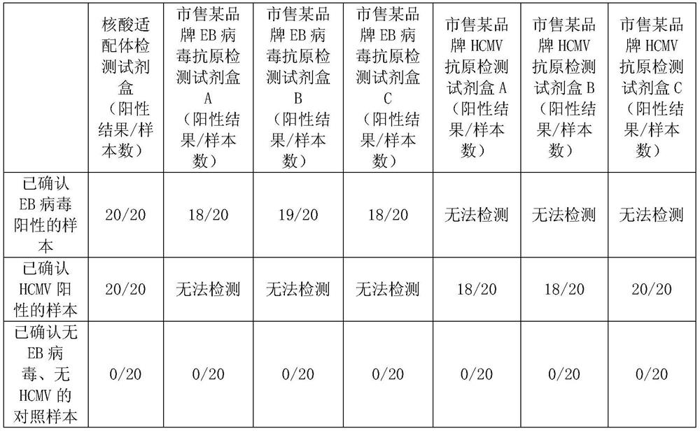 Kit for detecting EB virus/HCMV and application thereof