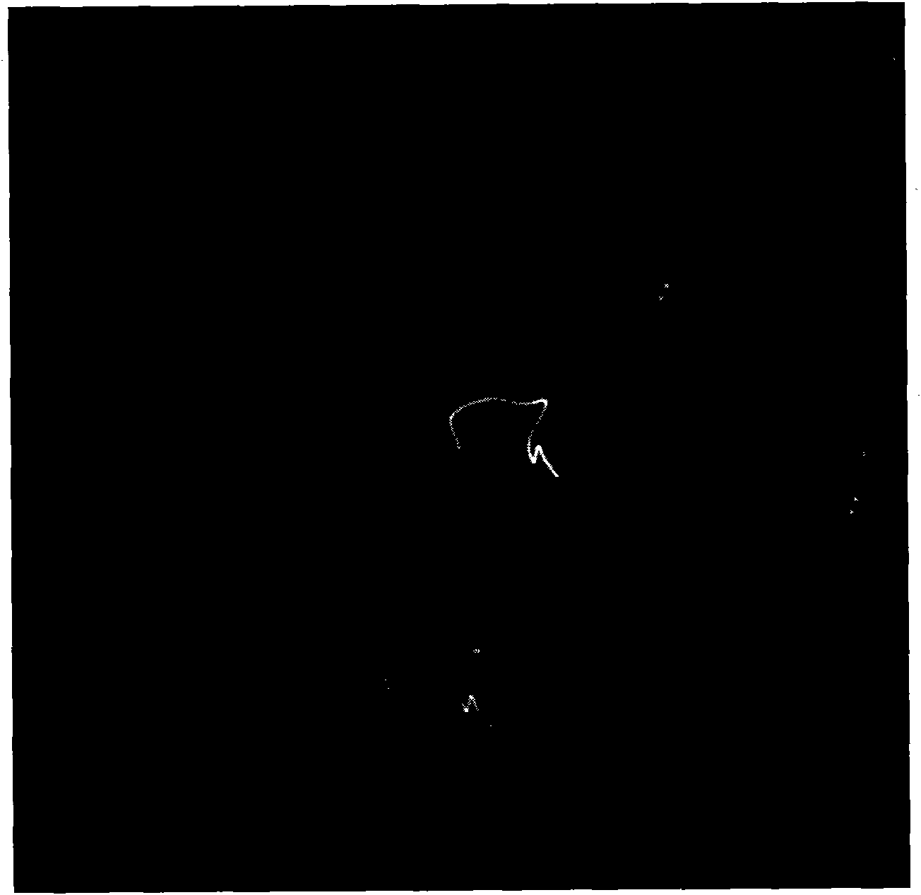 Prediction and correction method of node of star point track image