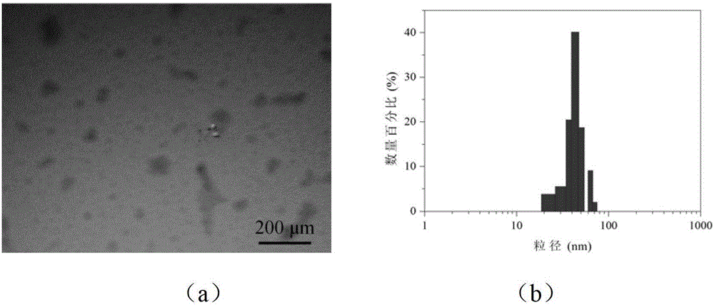 Reduction sensitive type polyethylene glycol-medicament conjugate and preparation method thereof