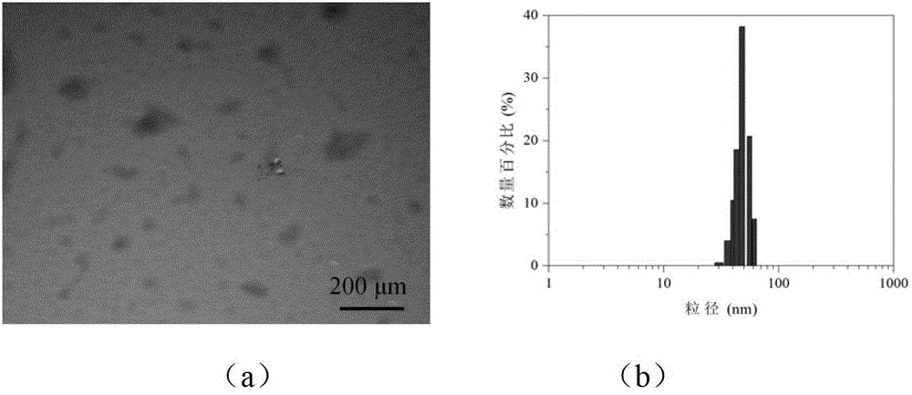 Reduction sensitive type polyethylene glycol-medicament conjugate and preparation method thereof