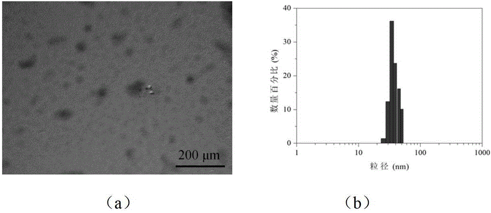 Reduction sensitive type polyethylene glycol-medicament conjugate and preparation method thereof