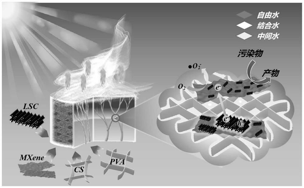 Photothermal-photochemical synergistic conversion hydrogel material as well as preparation method and application thereof