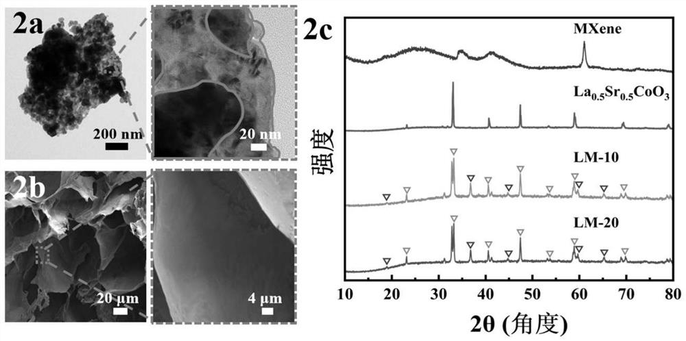 Photothermal-photochemical synergistic conversion hydrogel material as well as preparation method and application thereof