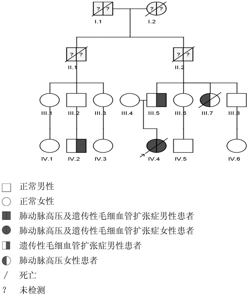 Pulmonary hypertension virulence gene ACVRL1 mutation site and application thereof