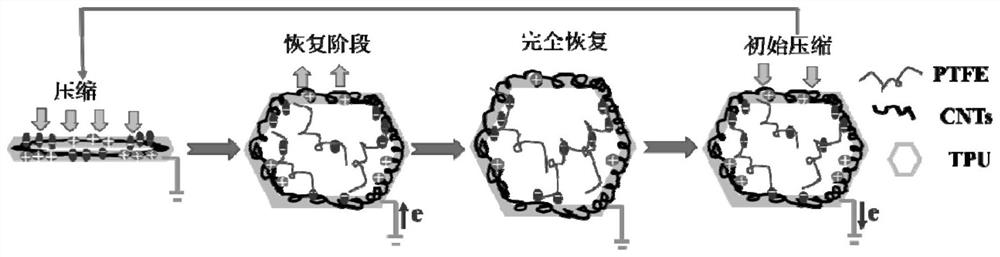 E-tpu composite single-electrode triboelectric nanogenerator and preparation method thereof