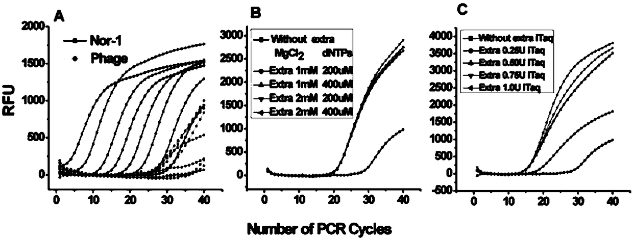 Synchronous detection RT-PCR (Reverse Transcription-Polymerase Chain Reaction) kit for yield of aflatoxin and quantity of Nor-1 genetic transcription and detection method of kit