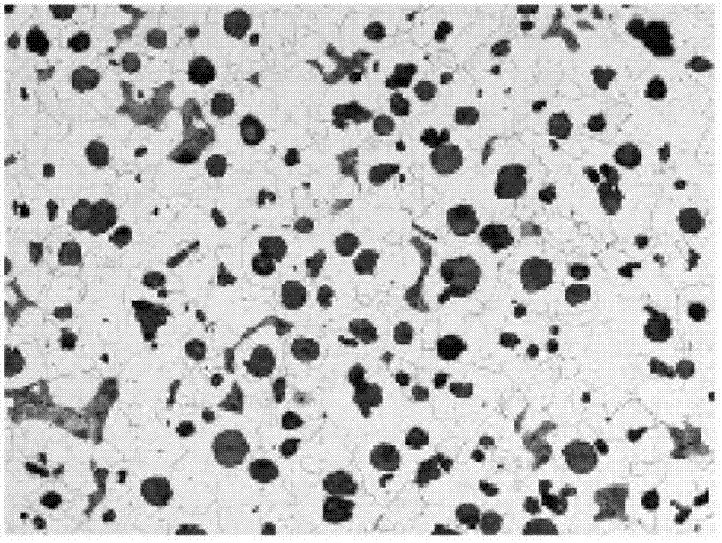 Cover material covering nodularizer in graphite spheroidizing of cast iron