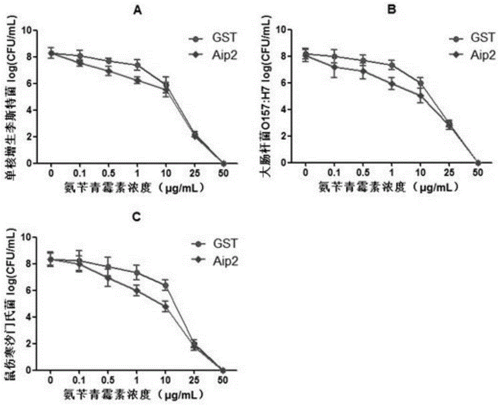 Application of Bifidobacterium longum protein in improvement of antibiotics sensitivity of Salmonella typhimurium