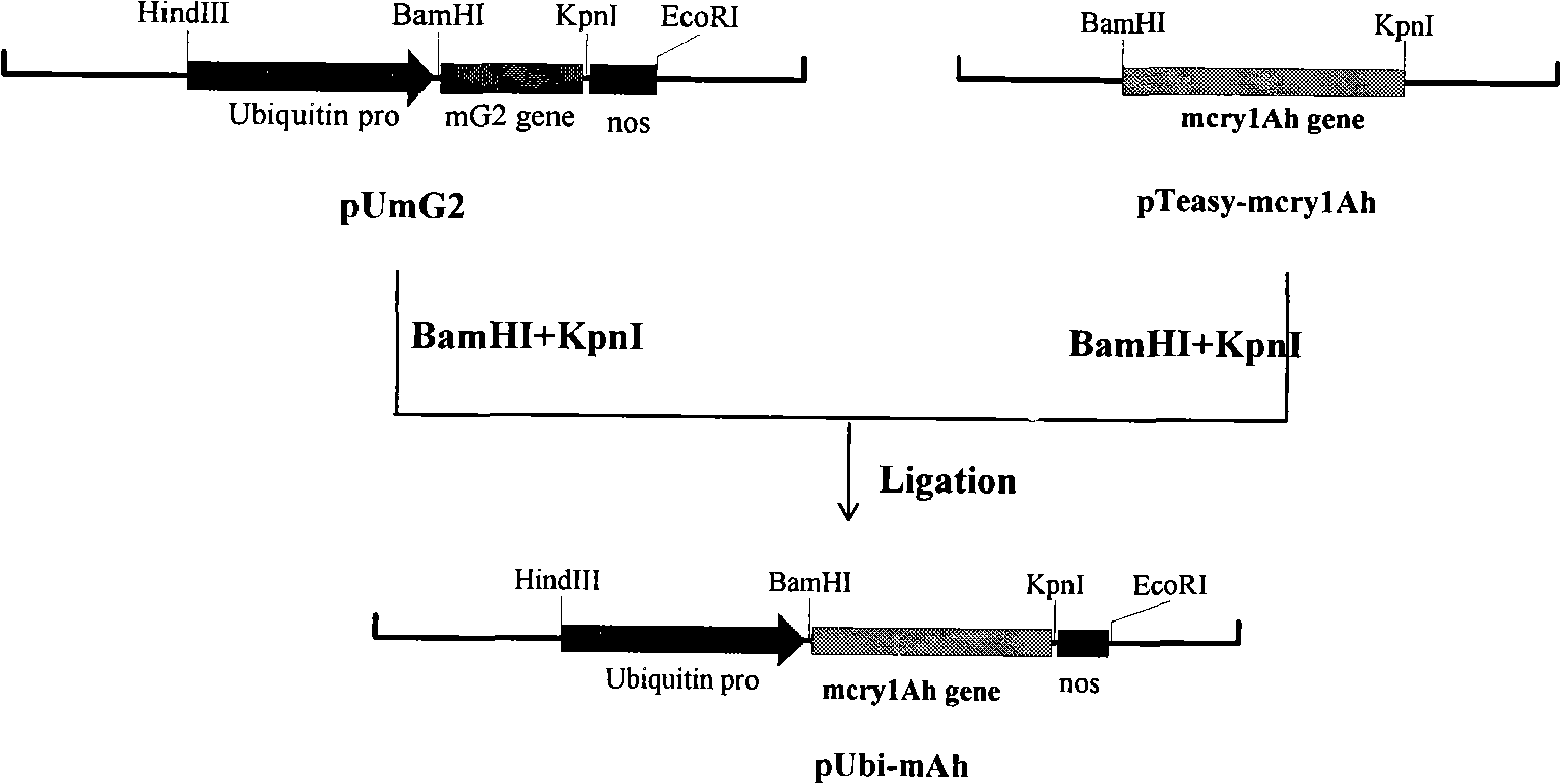 Artificial synthetic high gene order expression high virulence protein for lepidoptera pest and use thereof