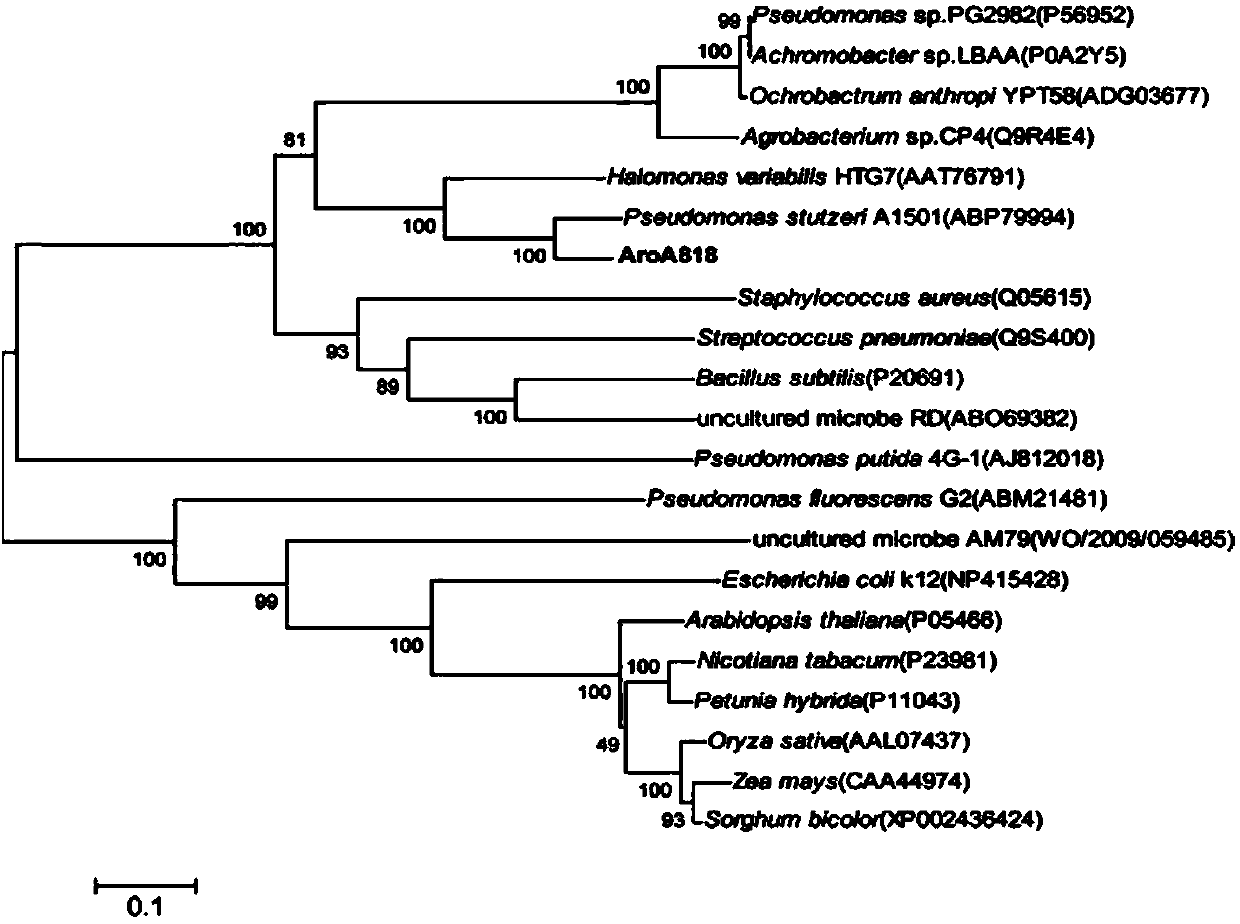 High-glyphosate-tolerance EPSP synthase (5-enolpyruvylshikimate-3-phosphate synthase), and coding gene and application thereof