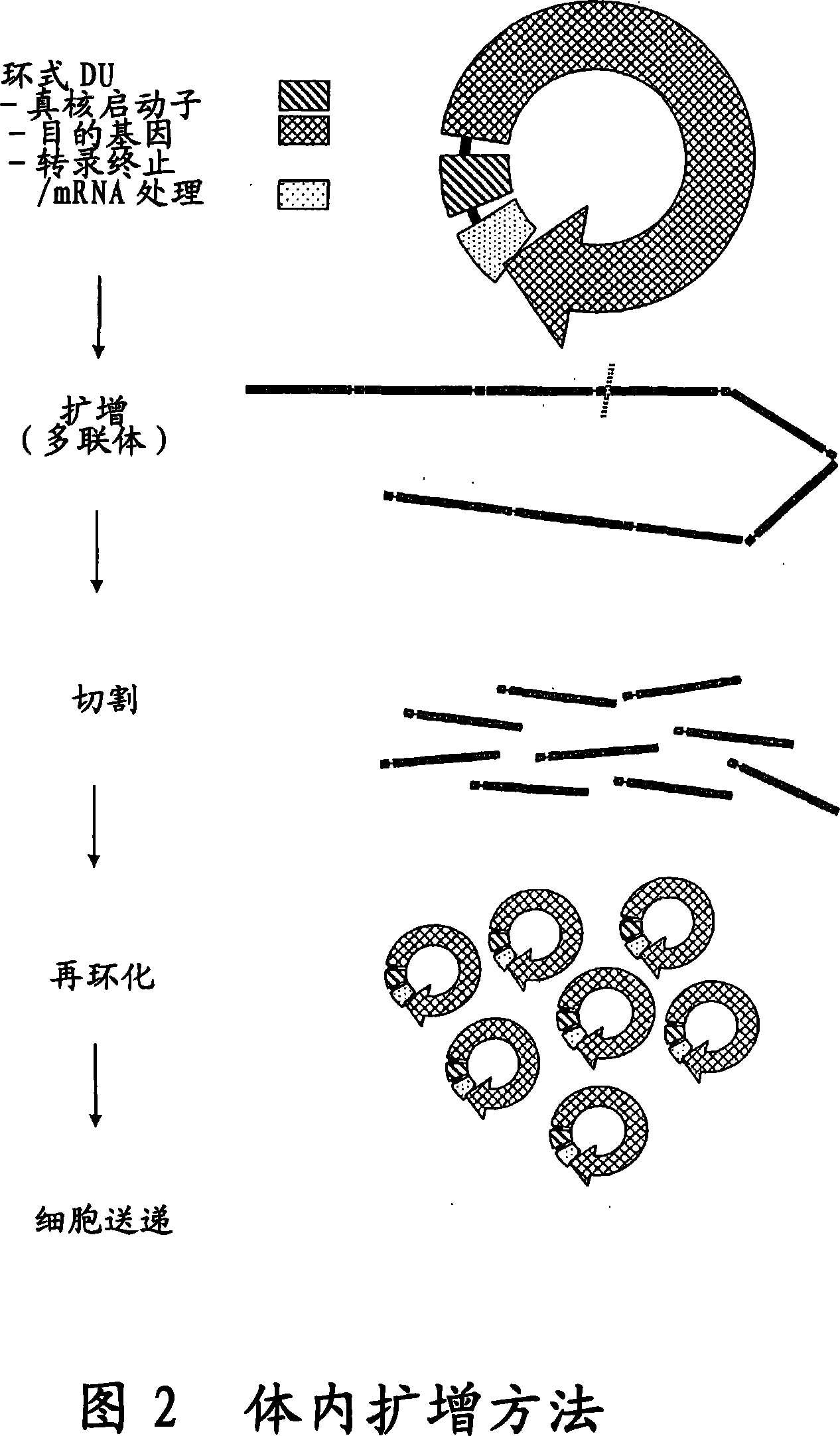 Cell free biosynthesis of high-quality nucleic acid and uses thereof