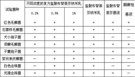 Compound butenafine hydrochloride nanometer cream and preparation method thereof