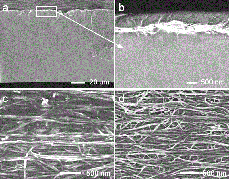 Preparation method of solvent-induced reversibly oriented transformation conjugated polymer and carbon nano tube composite film