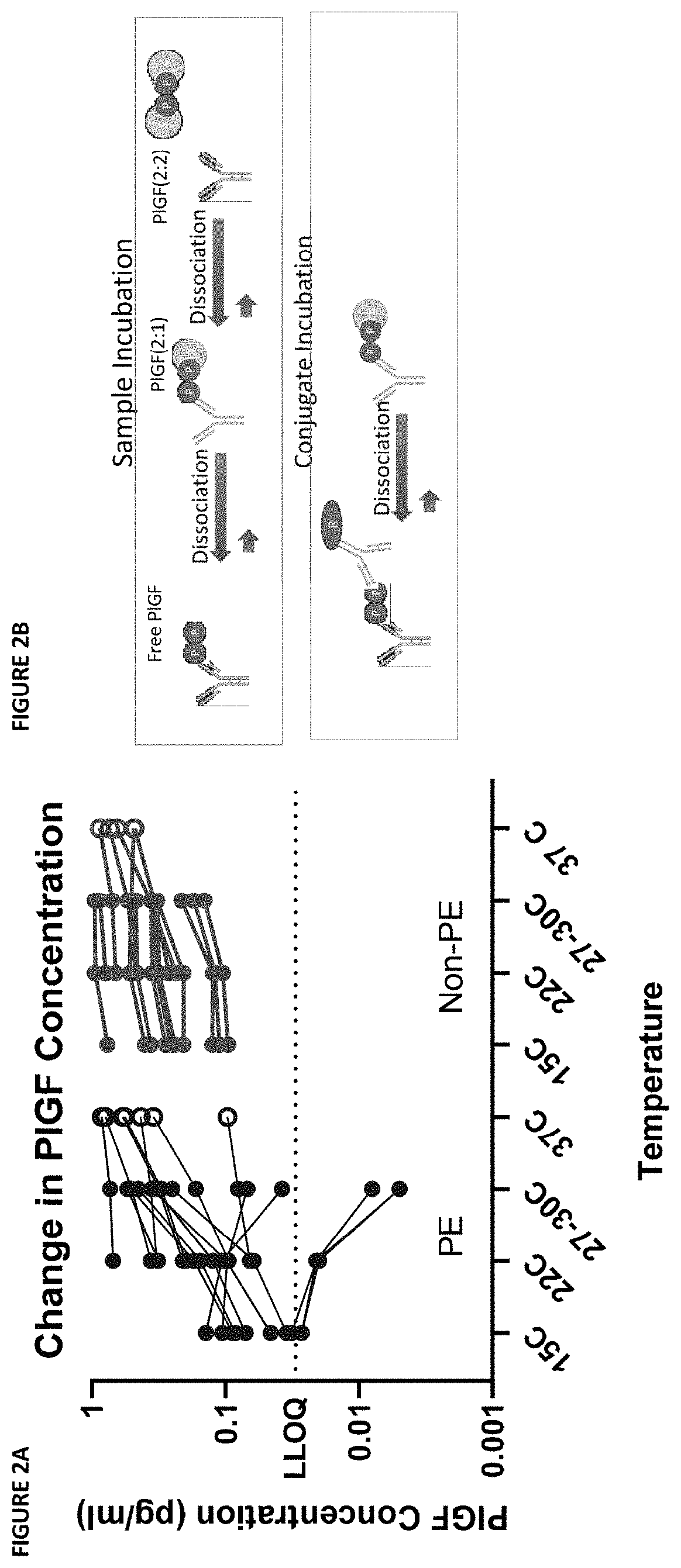 Assessment of preeclampsia using assays for free and dissociated placental growth factor