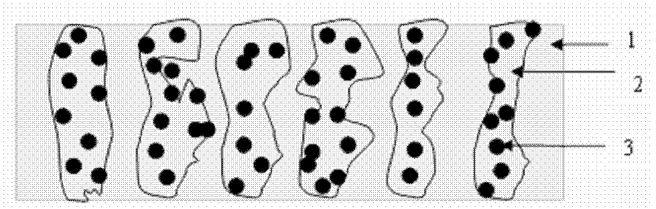 Method for preparing anode of solid oxide fuel cell by using immersion method