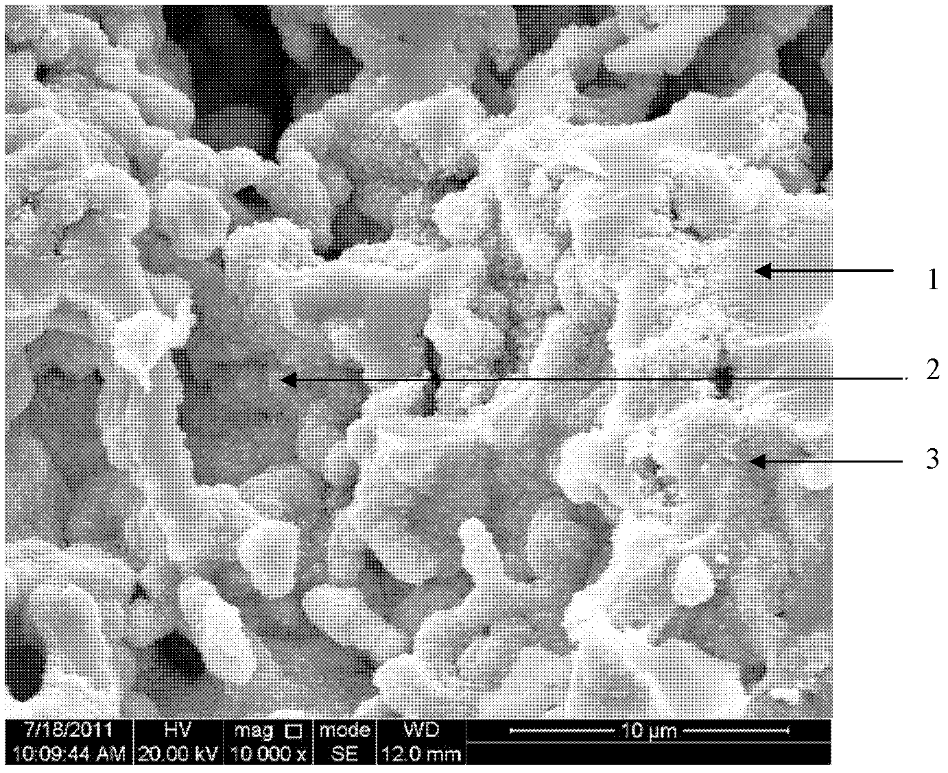 Method for preparing anode of solid oxide fuel cell by using immersion method