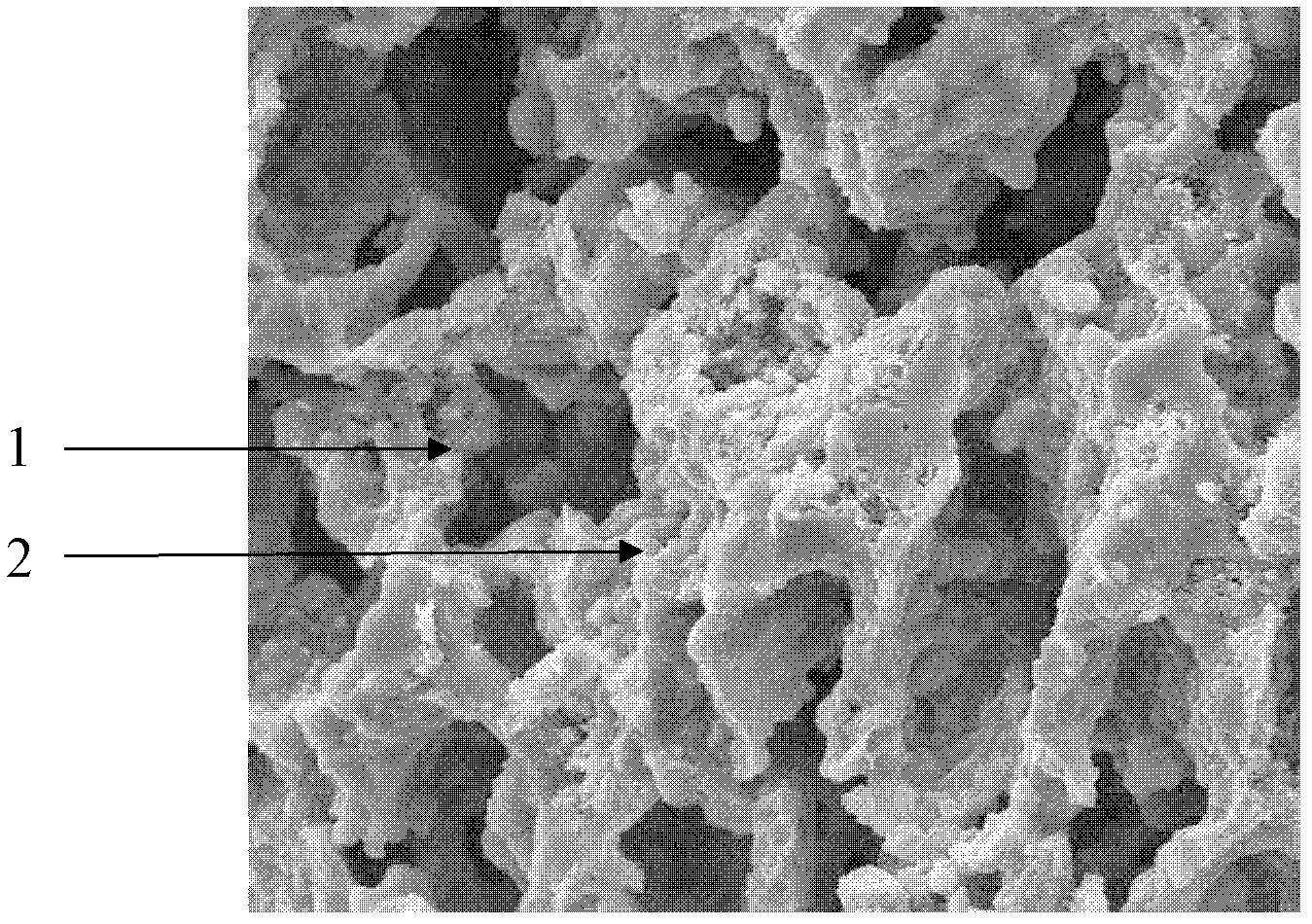 Method for preparing anode of solid oxide fuel cell by using immersion method