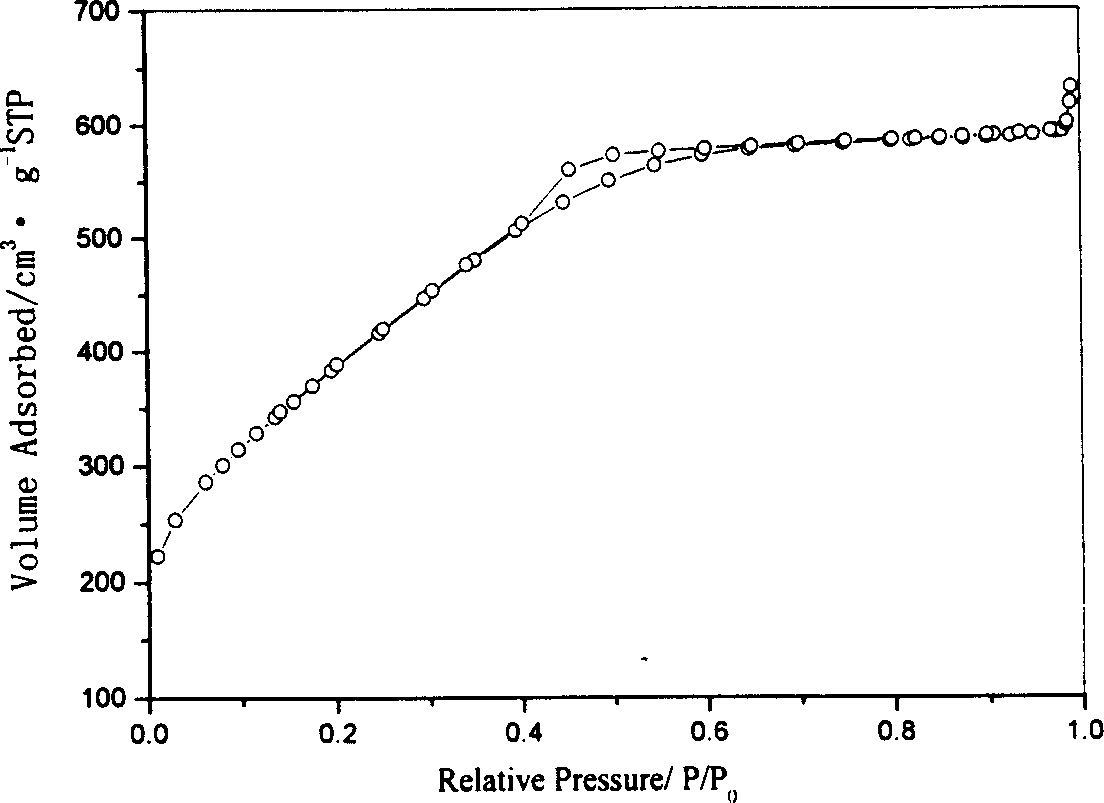 Active carbon fiber in hollow morphological structure, and preparation method