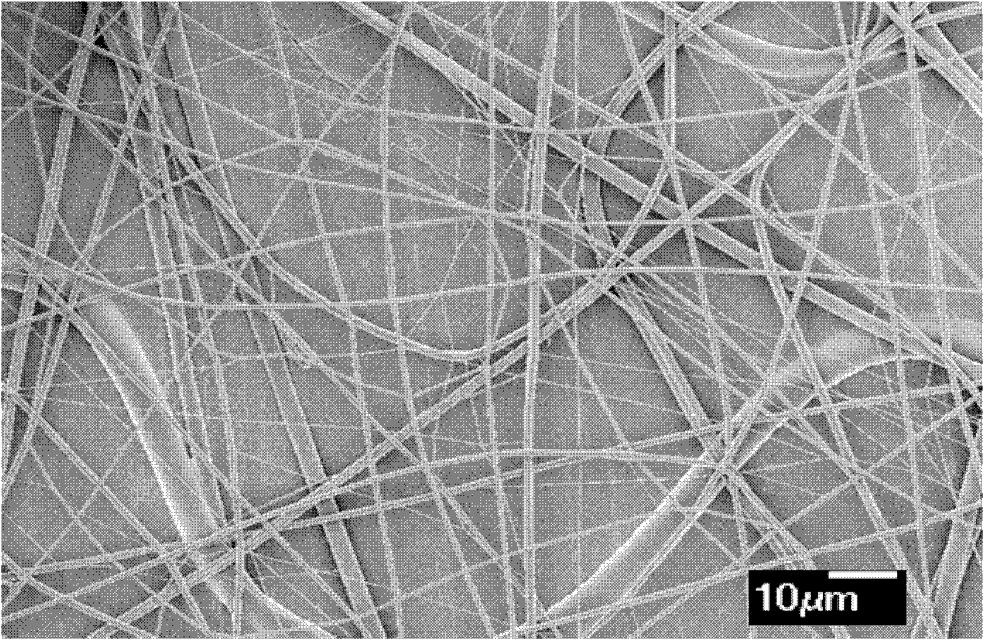 Shape memory material with fiber structure and preparation method of shape memory material