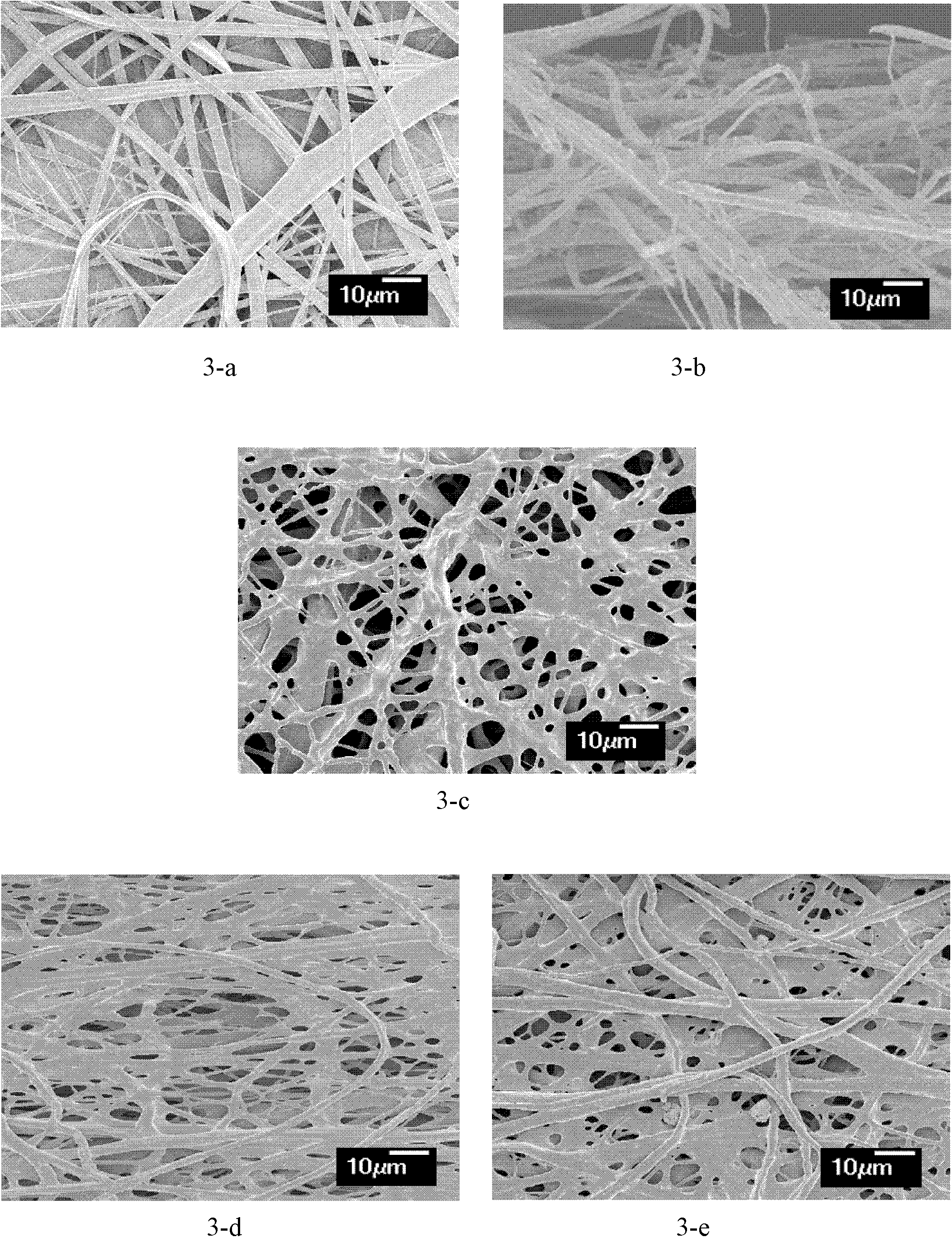 Shape memory material with fiber structure and preparation method of shape memory material