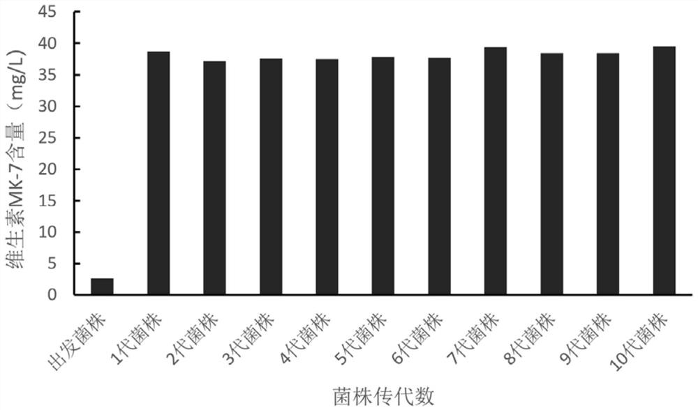 Mutagenized high-yield natural vitamin K2 bacillus subtilis strain and application thereof