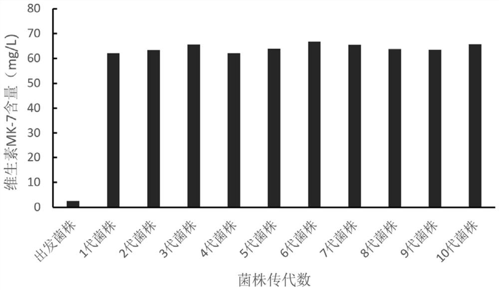 Mutagenized high-yield natural vitamin K2 bacillus subtilis strain and application thereof