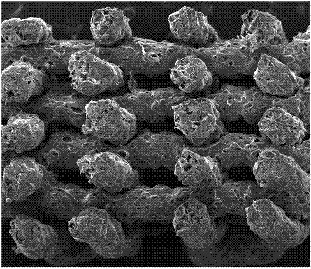 Sodium alginate-chitosan polyionic compound hydrogel and its 3D-printing preparation method