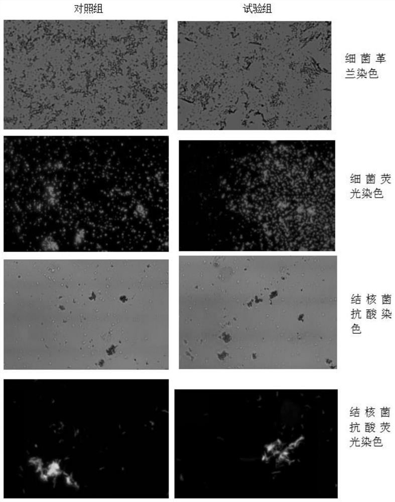 Biological sample safety protective agent and application thereof