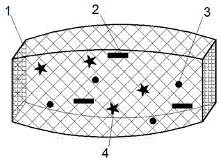 Preparation method for biomimetic matrix type biological wound healing material