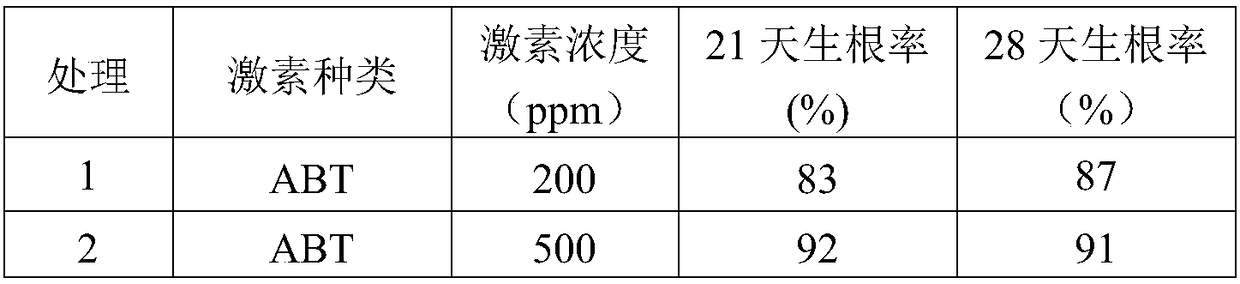 A kind of method for cultivating Chinese fir light substrate cutting container seedlings