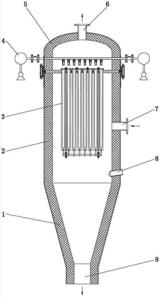 Biogas filter