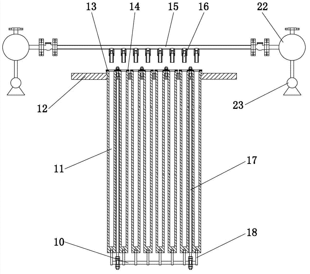 Biogas filter