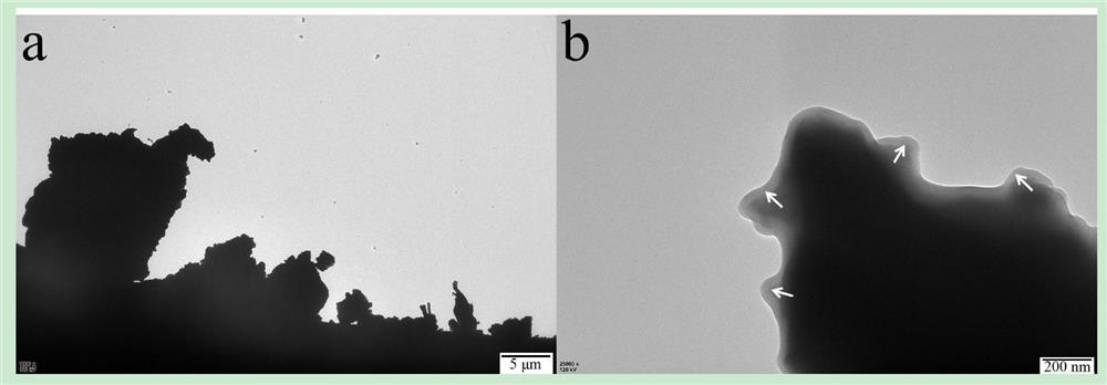 A kind of fluffy carbon-coated silicon composite material and its preparation method and application