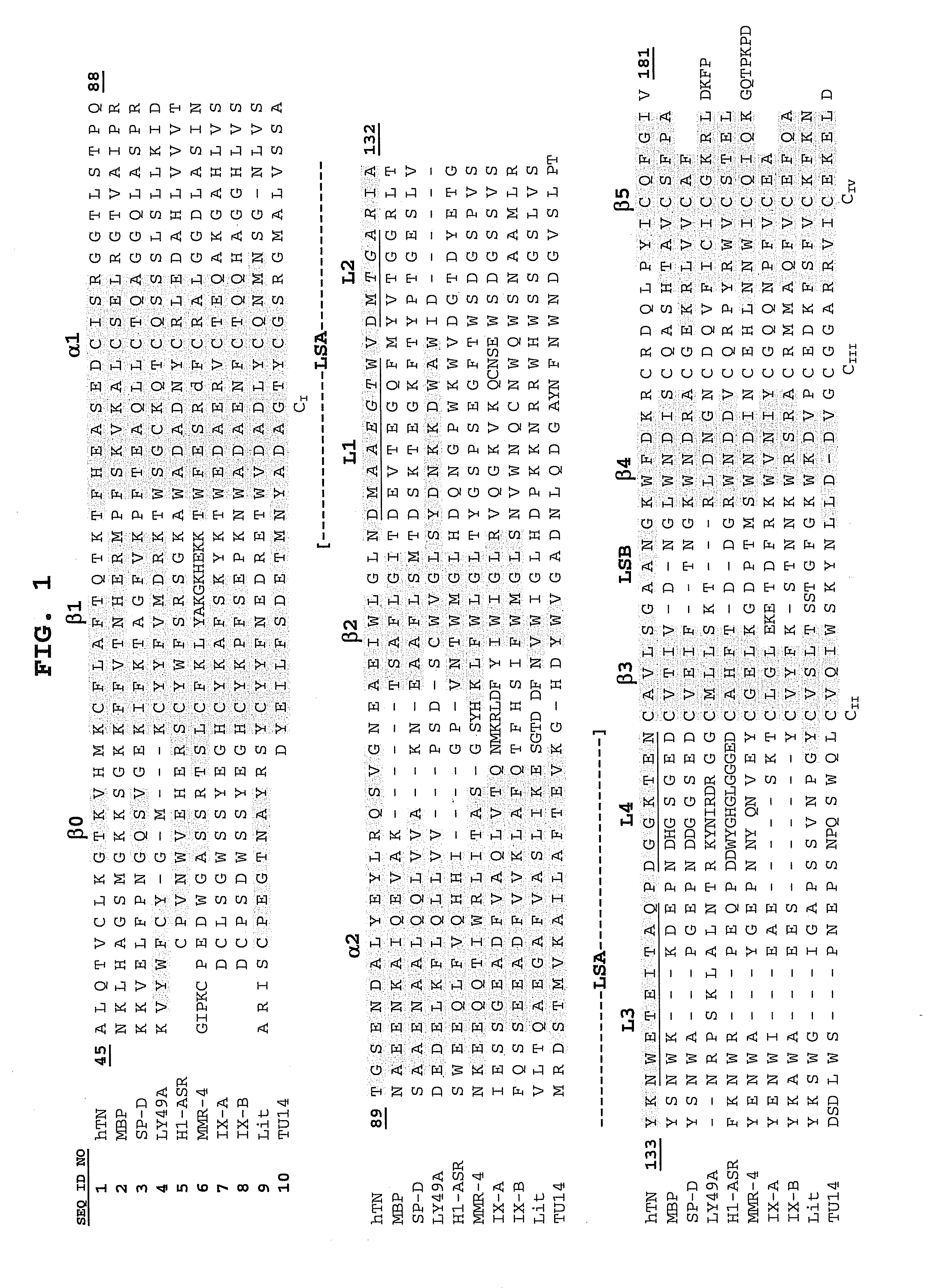 Combinatorial Libraries Based on C-type Lectin-like Domain