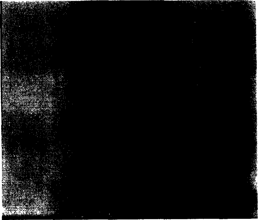 Process for preparing nanometer fiber for packaging medicine or growth factor