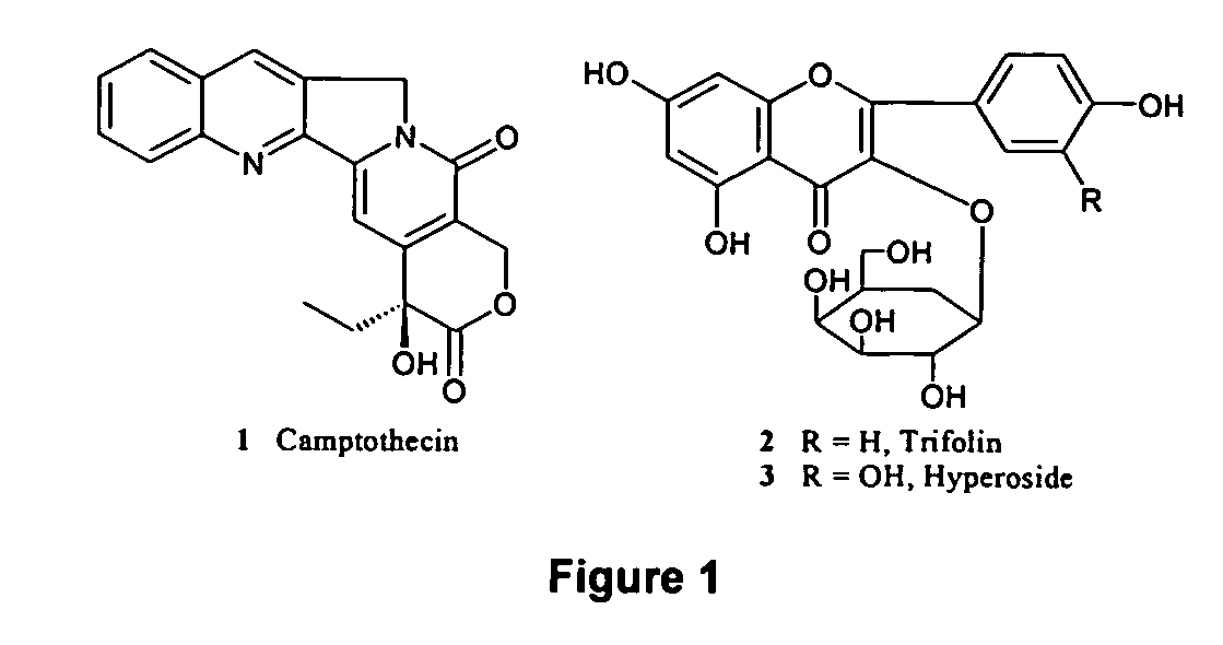 Methods for inhibiting fungal pathogen infestation and propogation