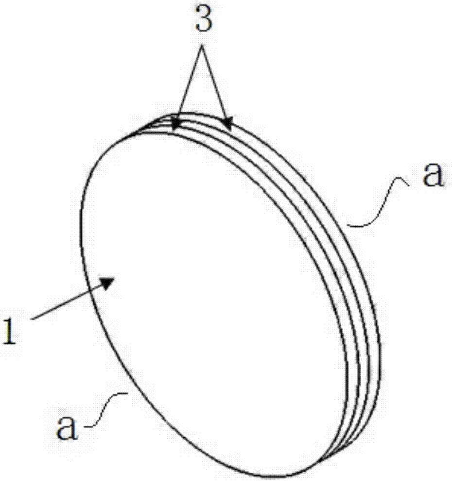 Signal light optical device realizing three-dimensional lighting