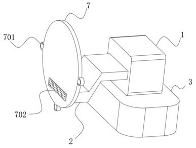 Pneumatic conveying device for bulk materials